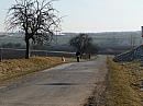 Třibřichy